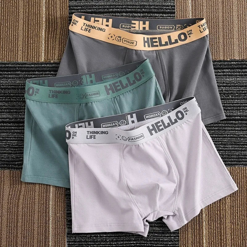 6Pcs Underwear Comfortable and  Breathable Boxers for Men